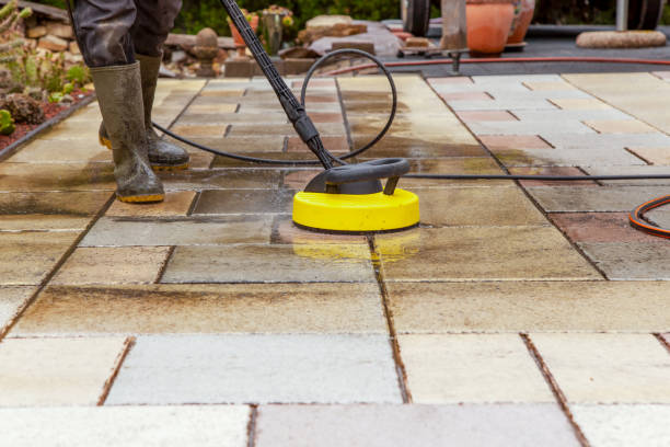 Boat and Dock Cleaning in Montpelier, OH