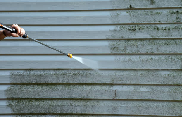 Best Gutter Cleaning  in Montpelier, OH